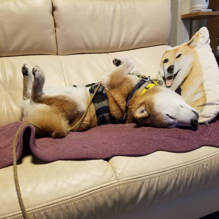 0aa1f8fb 9447 4f34 bc22 bb07526d9d75 1672613002699