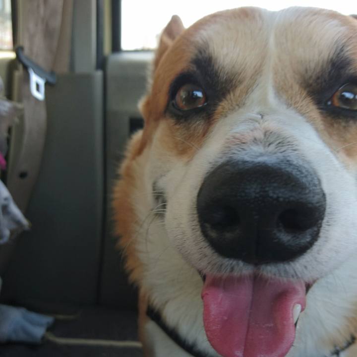 0aa2070d b68f 4545 8dda cf8817a58e19 1654934060782