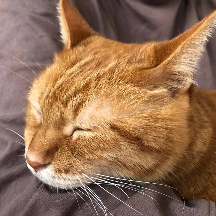 0aa241f8 58da 4670 90cc 9ca421c9c5c9 1701471106213