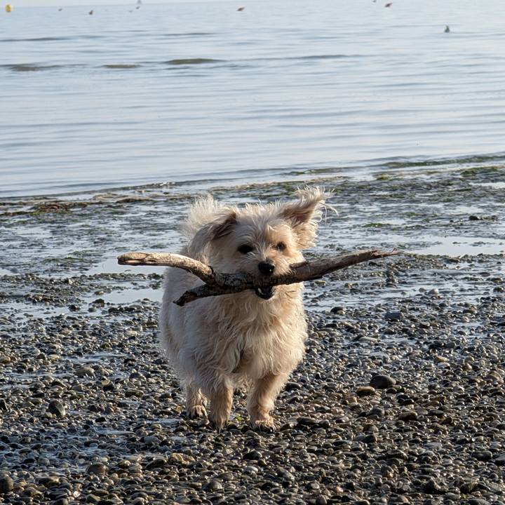 0aa245dc b653 48bb 8136 513e205a5e45 1769530684394