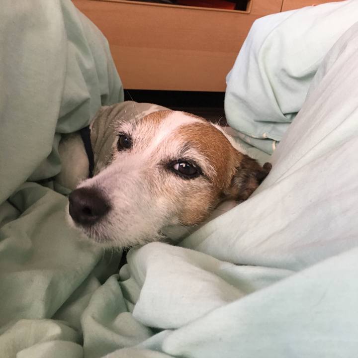 0aa26fdf 68b0 4f21 ac66 01c1583ba374 1649201360041