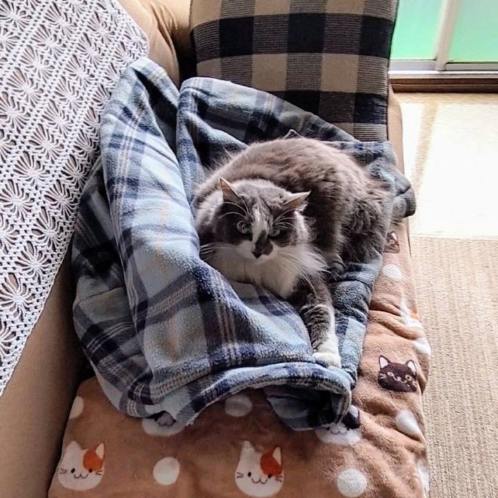 0aa2a043 b38e 4050 b1c7 c59cb876844d 1746525811428