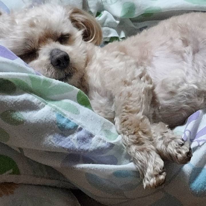 0aa2a1a5 198f 4d3e 9a32 7ce74a78f664 1685598811098