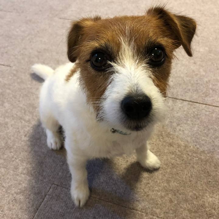 0aa2ccdb ec8d 4c17 9506 0a18315cadaa 1563967218323