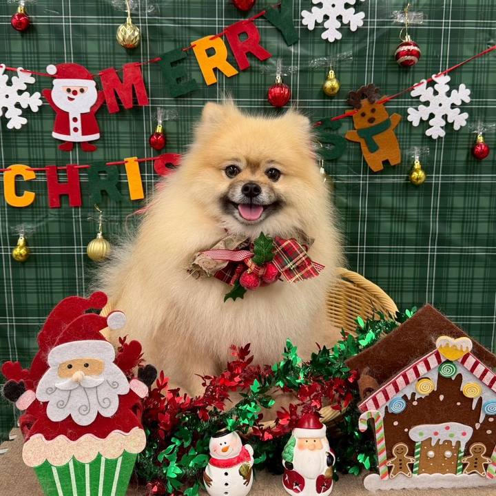 0aa2f292 b21f 4bdd 8fdd 7dd41706a93e 1766659311249