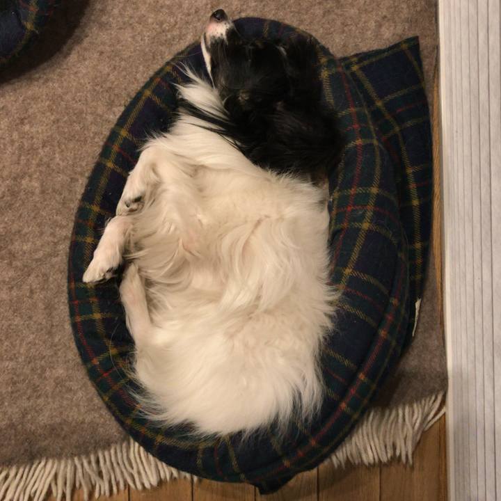 0aa32613 72b5 44a1 a317 7b0a6809a99d 1513601536396