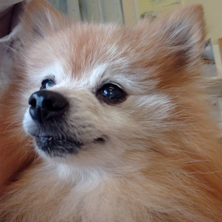 0aa341ac 0901 40e0 81a4 a6537b7ed743 1665358043339