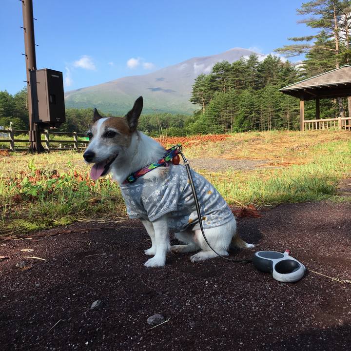 0aa3cbe9 d21e 4f81 9170 96411eae8cfb 1626906525282