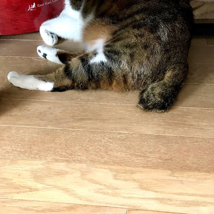 0aa3d3a7 36b0 49a0 9362 af1a01e57c68 1547777685309