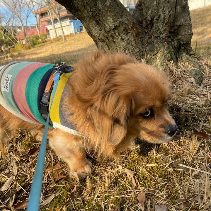 0aa3d949 56c5 4ae6 80fb 1ca4bbabe4b2 1609722336574