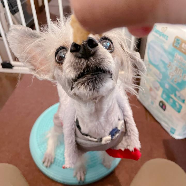 0aa3fef8 dab8 41ef 9160 bc04a1318ed2 1772098172679