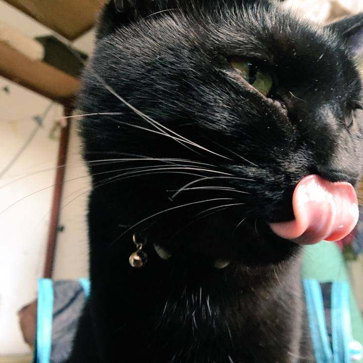 0aa40658 9d2c 4def 88a0 de50fffa12a2 1519949433177