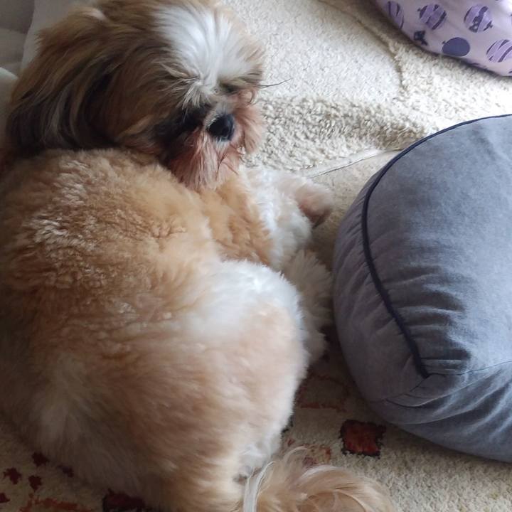 0aa40bd5 aa24 440a ad38 ad851865b5f5 1596007517364