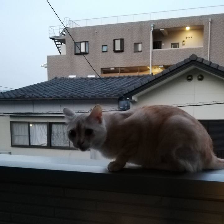 0aa40cbf c08e 46ab a02c 1c5911e0f758 1599174244847