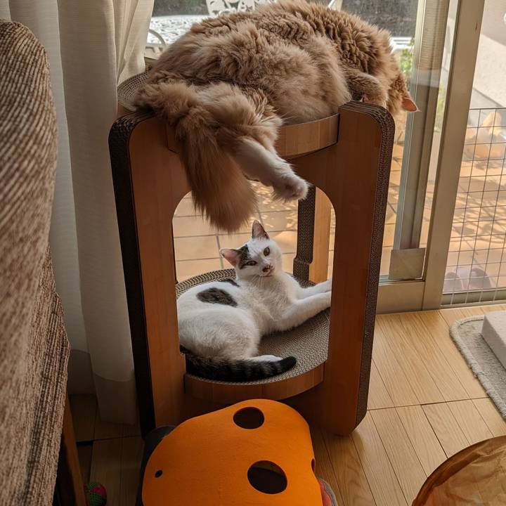 0aa420a5 3f15 40de b92c fe81b6bb5f10 1699073090508