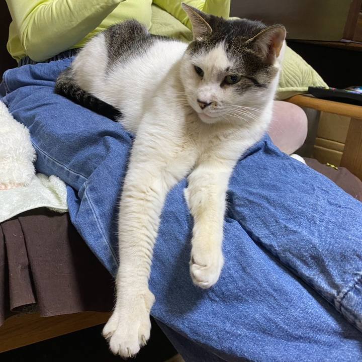 0aa427c8 0f73 495d 8c01 e1c6e3e4d325 1775313789076