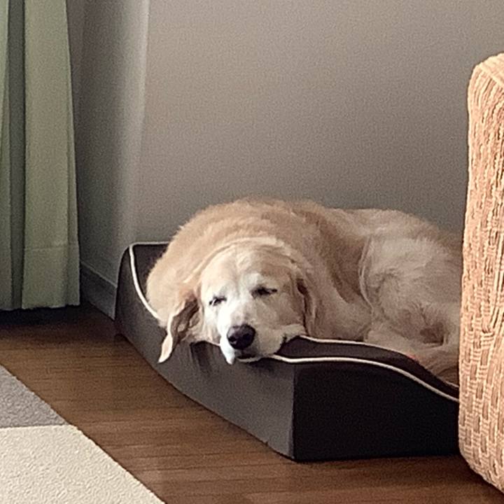 0aa44327 1e61 497b 834d 672b095e16ca 1602998287089