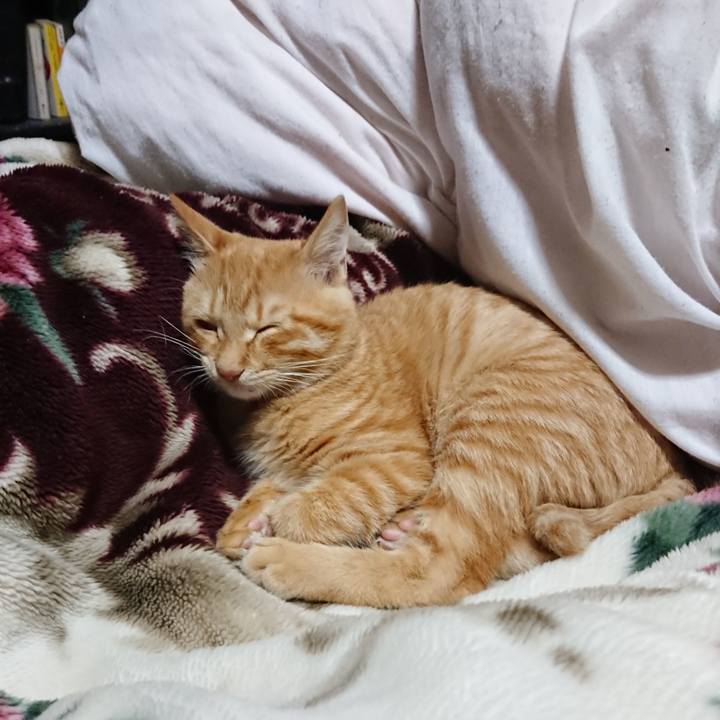 0aa451aa 8d56 4248 bc93 b5ab32590106 1634730483409