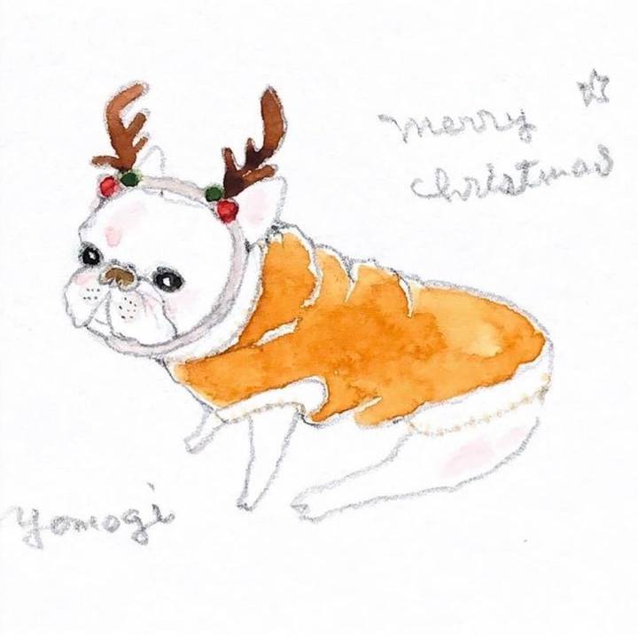 0aa47269 3d8e 4bd0 8c5c e2fd1cd78a62 1703374645685