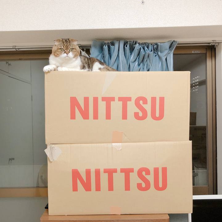 0aa47ec7 97e3 4293 ac06 f16b9e8ec3d9 1574589107205