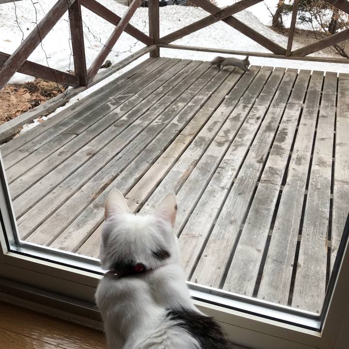 0aa48655 dae3 4b27 a113 e1c1b8f0a530 1553123234226