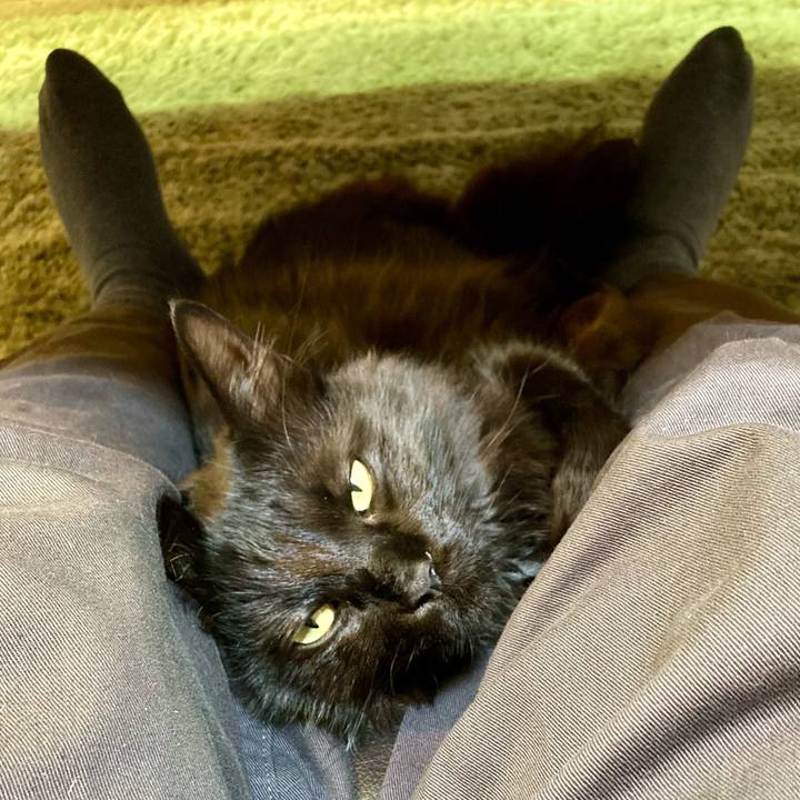 0aa4cfc4 9c84 4865 beed 7541b5f679f1 1746261127445