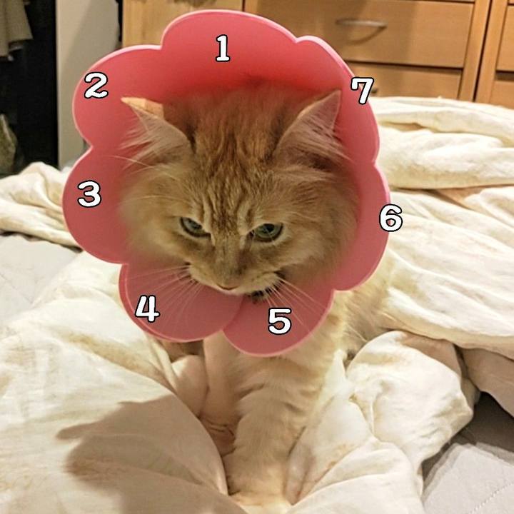 0aa4dd26 ae25 4aa5 a9c7 ade29950c5a7 1687353873292