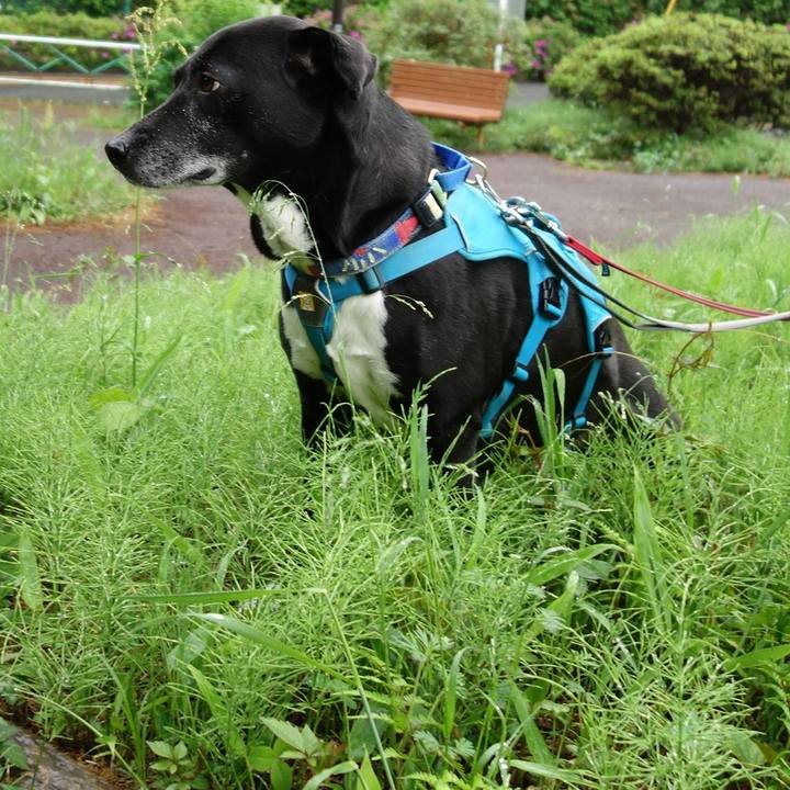 0aa4e516 d0e7 4b99 bbe8 eb3cdb34bd87 1713918921442