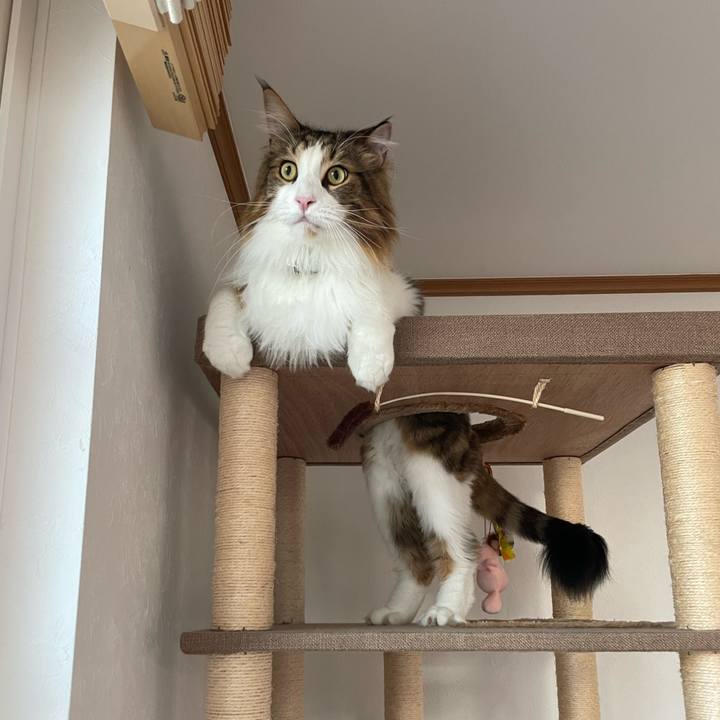 0aa4f73c 8013 4d7d 940d 70cb3a7bdb0e 1664661194434