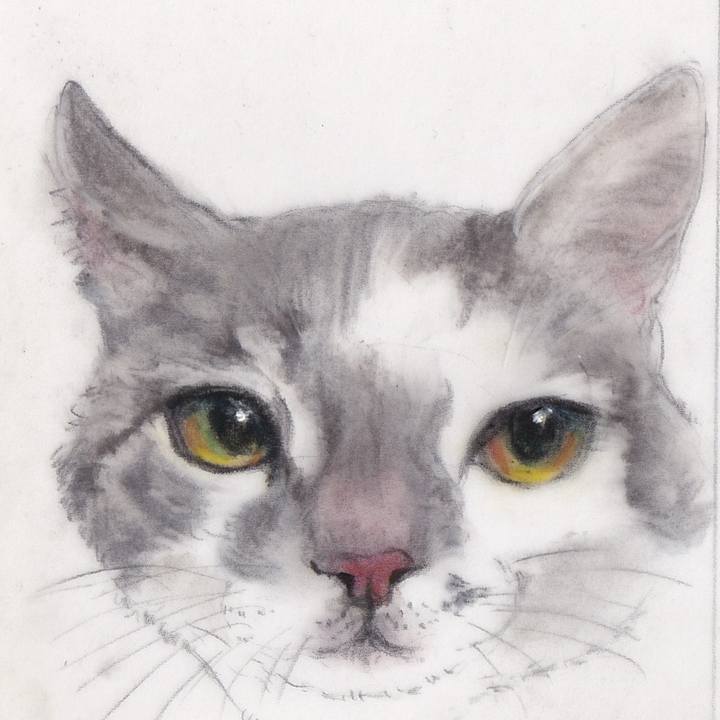 0aa52e32 3277 48c6 a897 5b25e008c74d 1741352767822