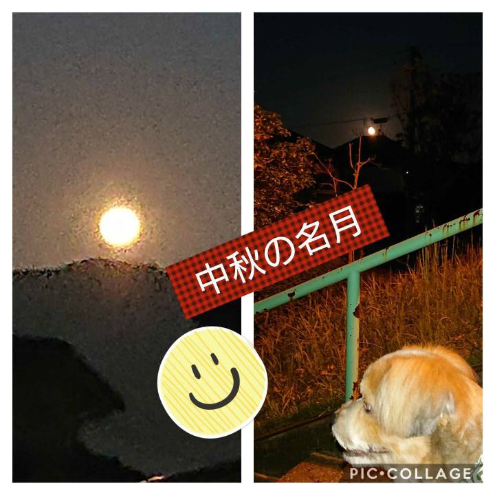 0aa53dbc e9af 452f 96e3 70cf4da9a938 1601547634456