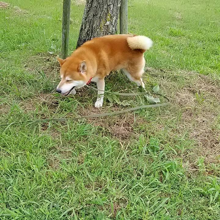 0aa59c0a c761 4440 8919 307b87393214 1631836288306