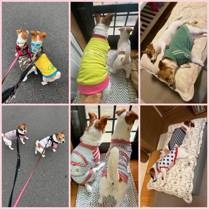 0aa5ac35 6642 4836 8b34 86cc1e6f425c 1720744254006