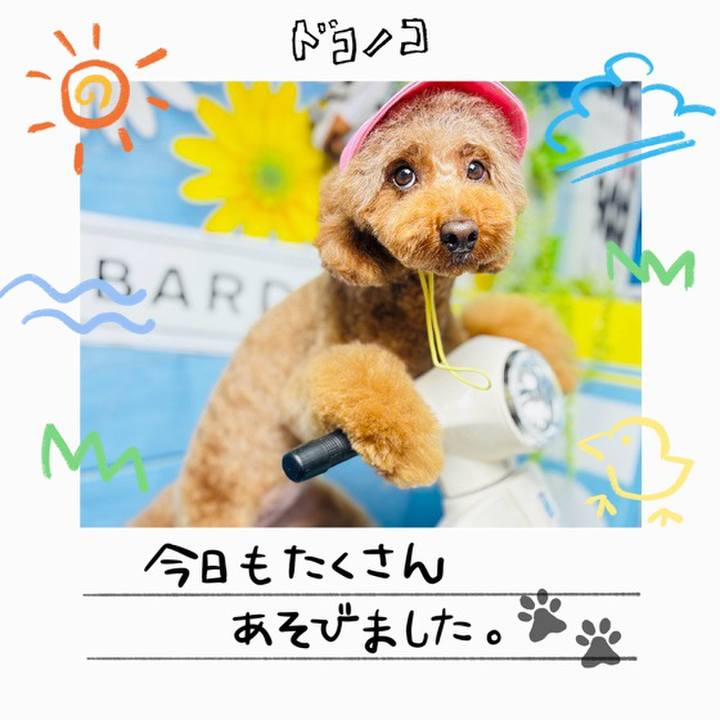 0aa5f265 462b 49a9 856b 87b996657f09 1755297544285
