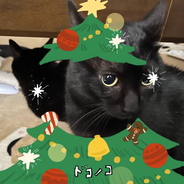 0aa61889 d599 4123 962f e67ac888f753 1764208784375