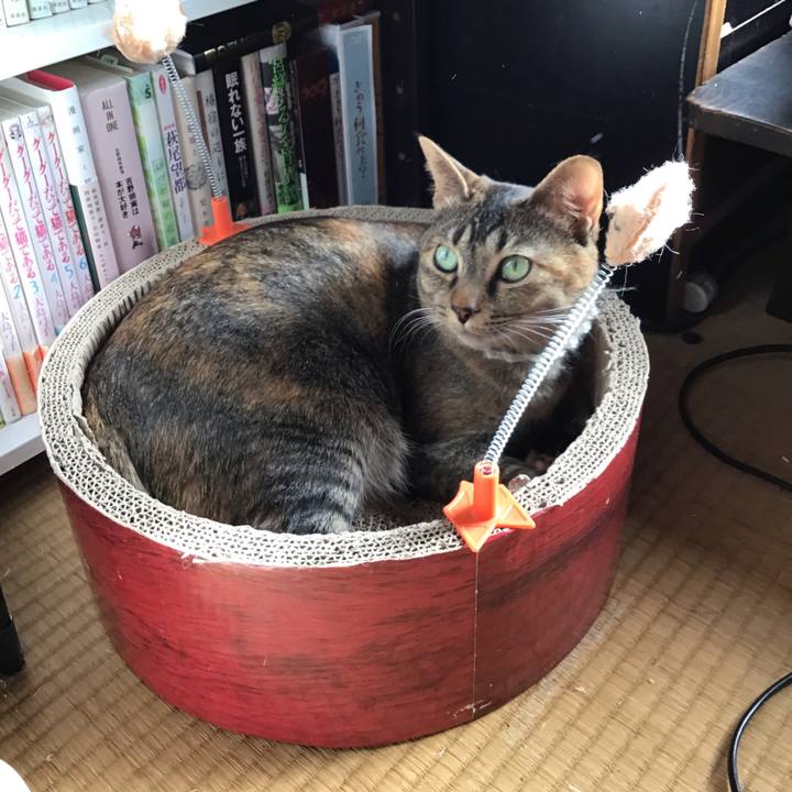 0aa63036 2c7b 4168 a4b9 2c85b900bb19 1648003703944