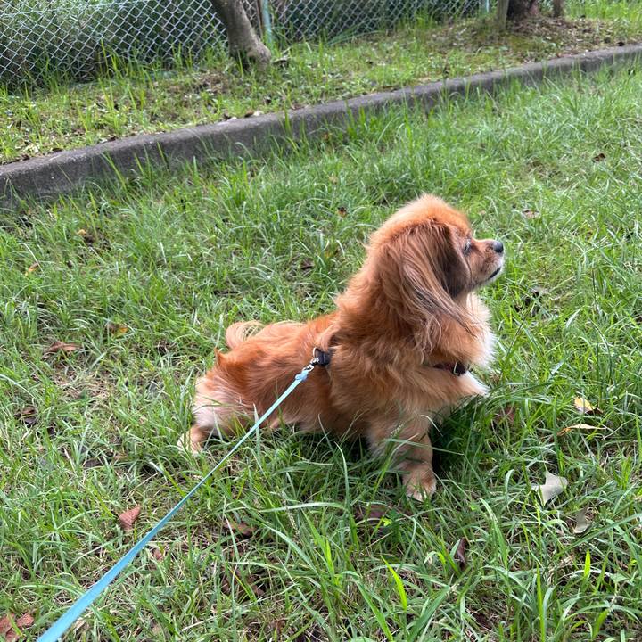 0aa64426 b563 4666 8398 5eab76ede8bc 1695423680905