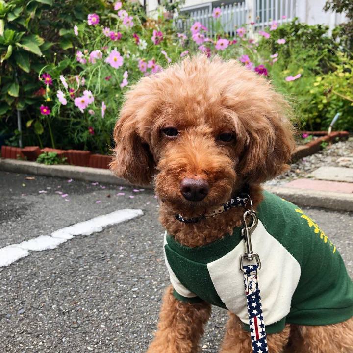 0aa650cd 22ed 40aa 89dc ad4bfdc6819d 1602393844757