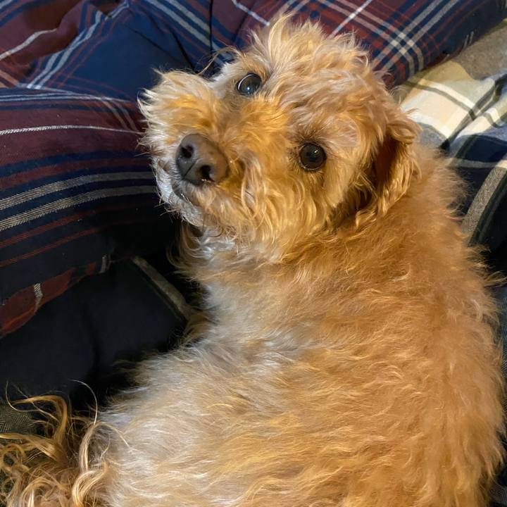 0aa68233 05ae 4ed2 8048 ba36d45e9fca 1679830843759