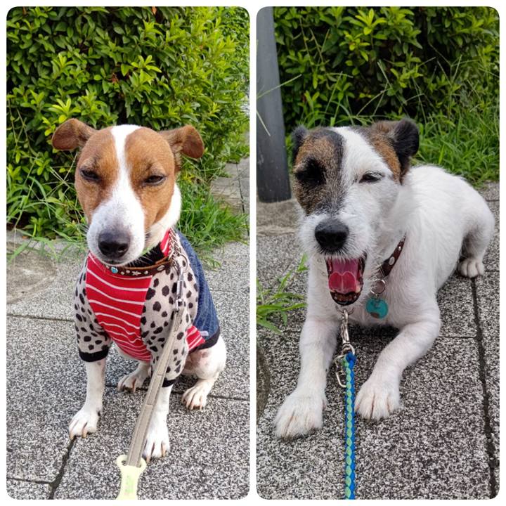 0aa6c78a 9e06 44ce b2ad 98f766d54b9a 1658183622910