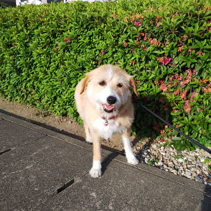 0aa6fe63 f75a 41e6 a940 360876850bc1 1558257375330