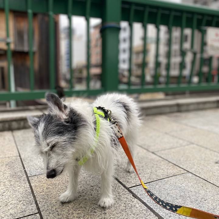 0aa7215a 0224 4259 8975 67814913fd84 1622349447274