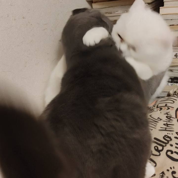 0aa78a83 88cc 4196 ada3 93090e6372a1 1615126298241