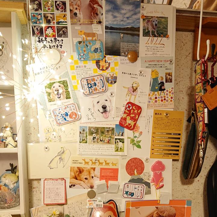 0aa79161 0d9b 4b63 9639 a10a09c61bcb 1641899878417