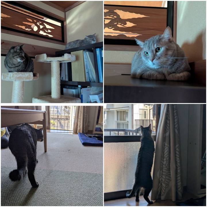 0aa7a0e3 fc5e 4716 9154 96f54a610494 1746590948821