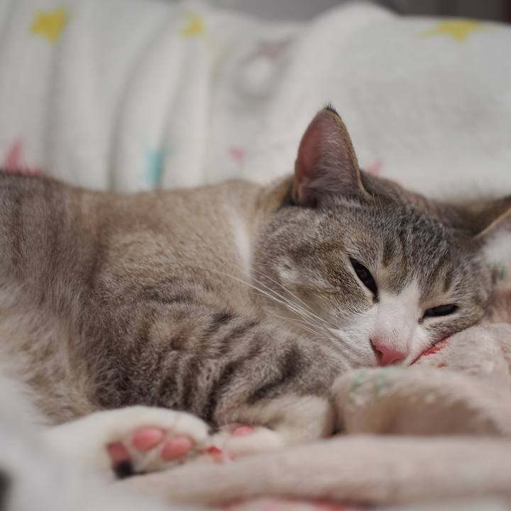 0aa7af29 05ed 4f64 8fcf fcae77a9cf78 1591792261392