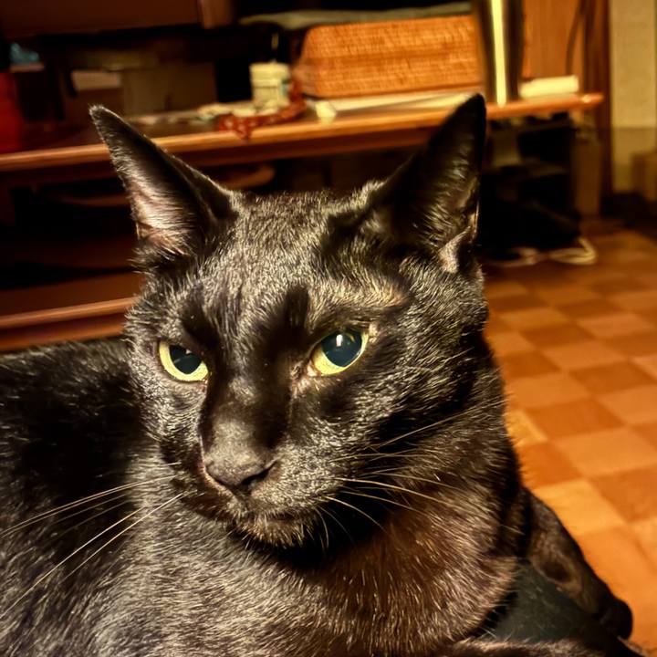 0aa7ba3e 77ae 4a4e b667 4253660a901f 1755176871143