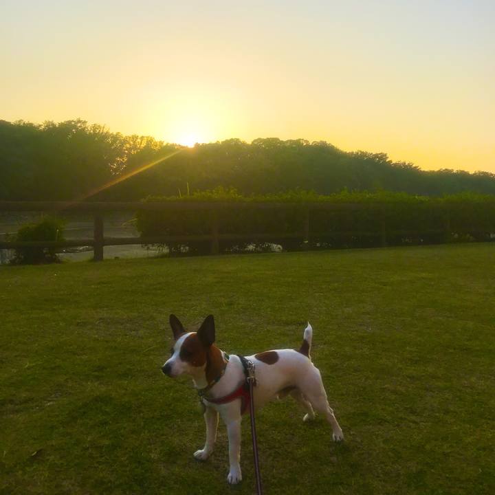 0aa7fb8d 3497 4db3 a3a0 f61d53785637 1509879200912