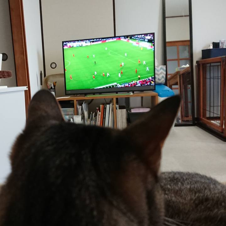 0aa83502 f4b0 4466 a07f dd8f12eb0d25 1563671925486