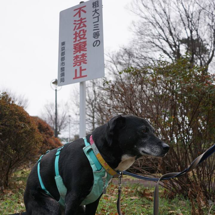 0aa84d8d b161 437e 9827 1dbc65fbbe07 1772238009877